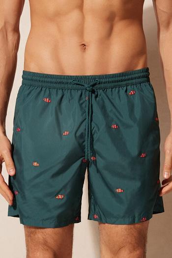 Intimssimi Embroidered Clownfish Swim Trunks Vihreä | USQCS23125