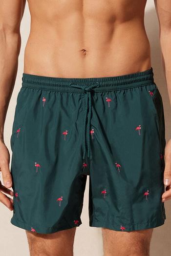 Intimssimi Embroidered Flamingo Swim Trunks Vihreä | EUSHC61013