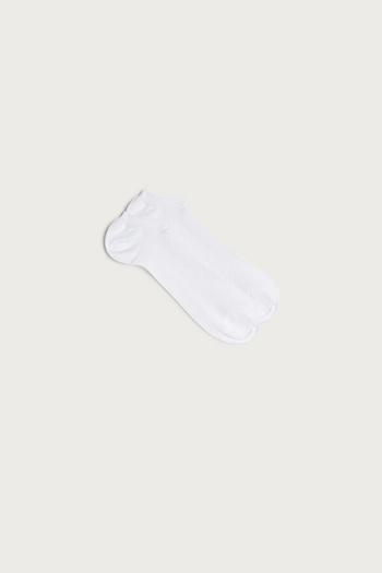 Intimssimi Tartan Puuvilla Ribbed Trainer Socks Valkoinen | MUSHR95904