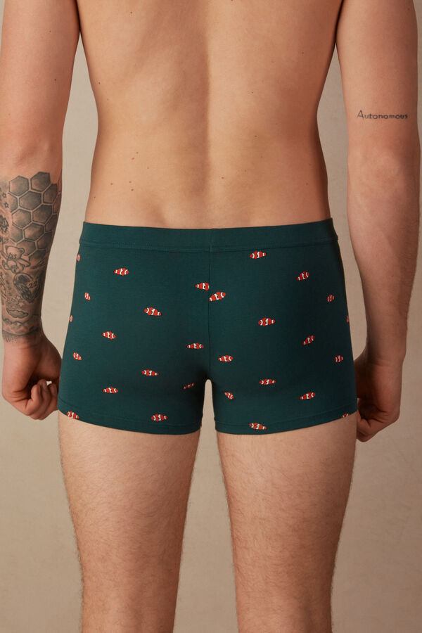 Intimssimi Clownfish Boxers in Natural Fresh Supima® Puuvilla Vihreä | EUSHC40088