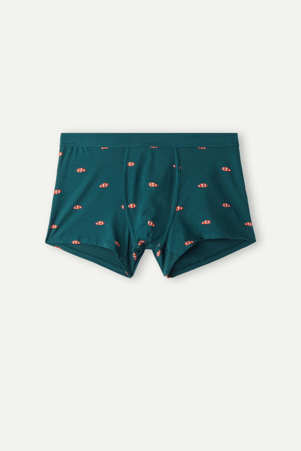 Intimssimi Clownfish Boxers in Natural Fresh Supima® Puuvilla Vihreä | EUSHC40088