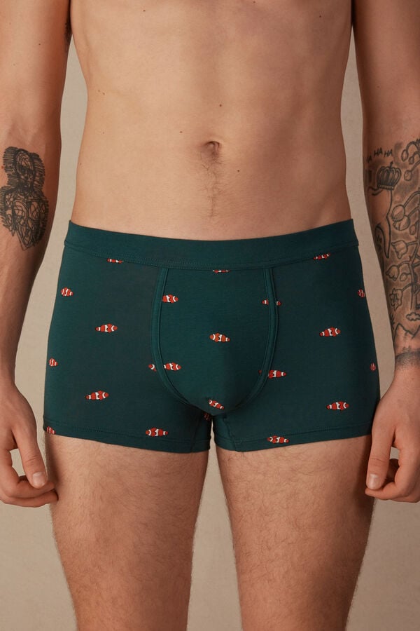 Intimssimi Clownfish Boxers in Natural Fresh Supima® Puuvilla Vihreä | EUSHC40088