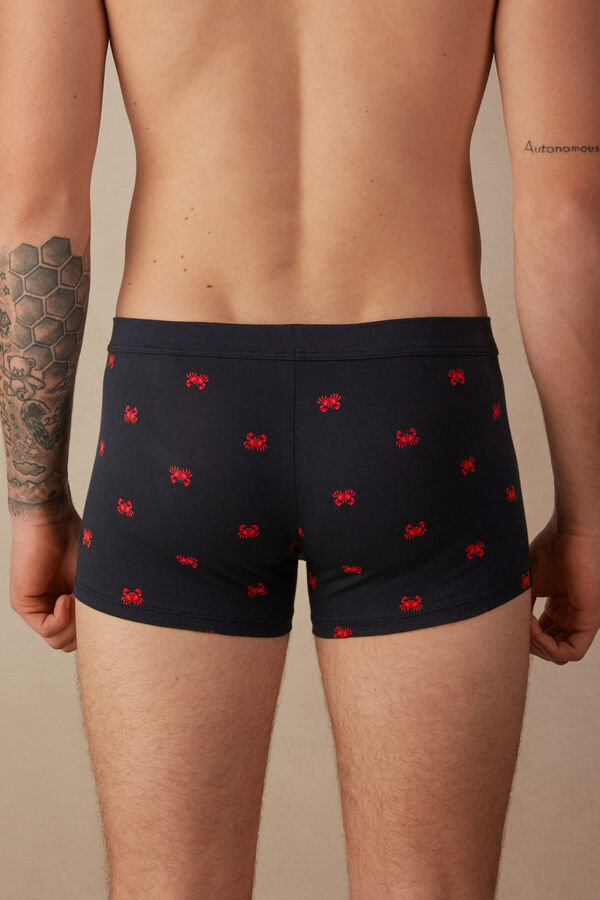 Intimssimi Crab Boxers in Natural Fresh Supima® Puuvilla Sininen | USNZX34836