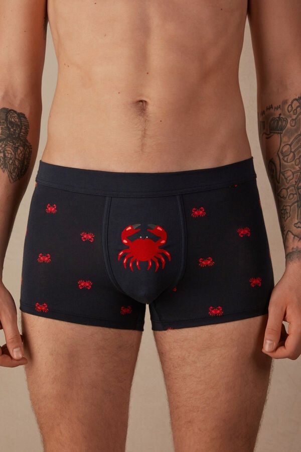 Intimssimi Crab Boxers in Natural Fresh Supima® Puuvilla Sininen | USNZX34836