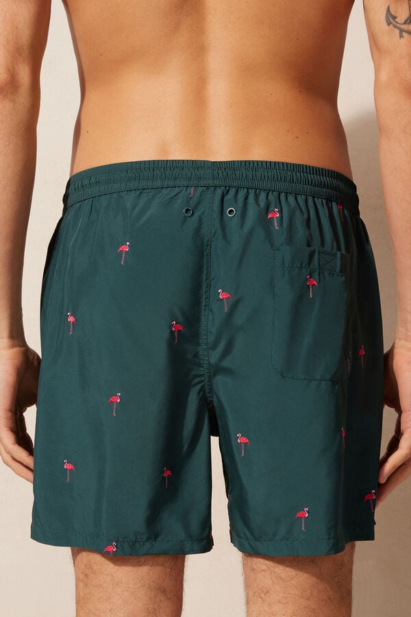 Intimssimi Embroidered Flamingo Swim Trunks Vihreä | EUSHC61013