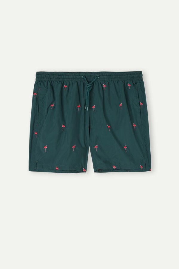 Intimssimi Embroidered Flamingo Swim Trunks Vihreä | EUSHC61013