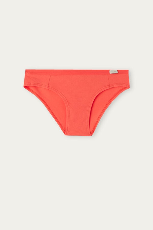 Intimssimi Puuvilla Panties Oranssi | DUSKV70260