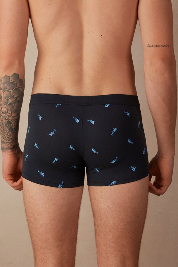 Intimssimi Shark Boxers in Natural Fresh Supima® Puuvilla Sininen | XUSGW92854