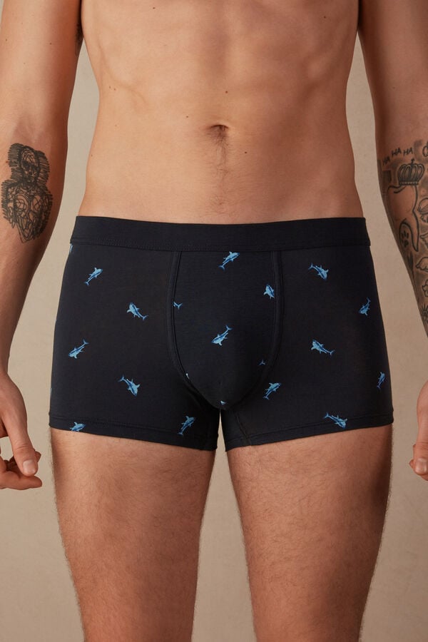 Intimssimi Shark Boxers in Natural Fresh Supima® Puuvilla Sininen | XUSGW92854